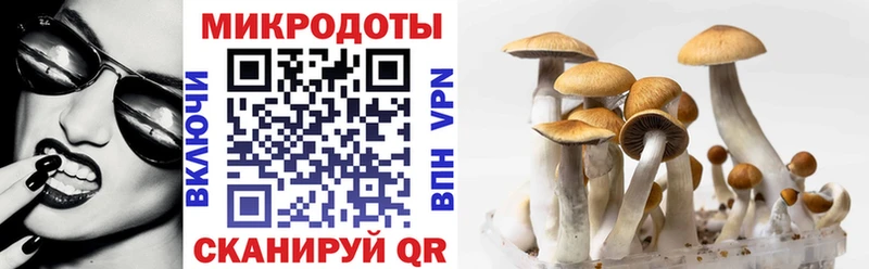 продажа наркотиков  Межгорье  Псилоцибиновые грибы Cubensis 